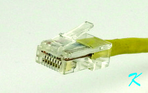 RJ45 jack on the end of a data cable